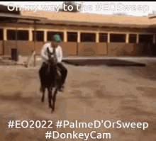 eo sweep eo eo cannes cannes2022 donkey cannes