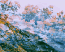 Nature Flowers GIF