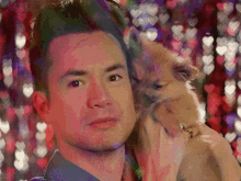 Panic At The Disco Pup GIF - Panic At The Disco Pup Puppy GIFs