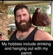 Hobbies Chicken GIF - Hobbies Chicken GIFs