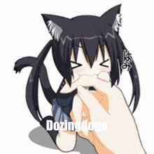 Dozingdoge Catgirl GIF - Dozingdoge Catgirl GIFs