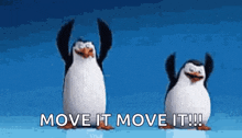 I Like To Move It Move It Penguins Of Madagascar GIF