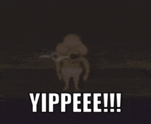 a blurred image of a person with the words yippee !!! written below them