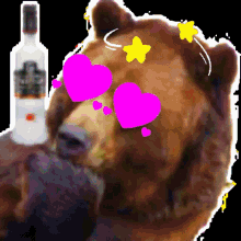 roxas high bear drunk tipsy party