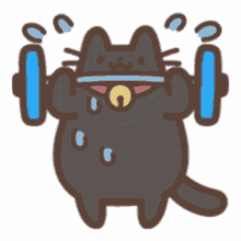 black cat mixflavor wowo kitten