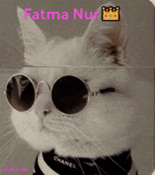 Fatma Nur Kral Fatma Nur GIF - Fatma Nur Kral Fatma Nur 150 Boyundaki Fatma Nur GIFs