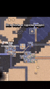 a screenshot of a video game that says tiktok at the top