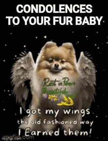 Fur Baby Dog GIF - Fur Baby Dog GIFs