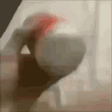 a blurry picture of a person standing in front of a window