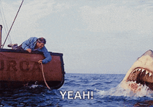 a man in a boat is looking at a shark in the ocean and says yeah .