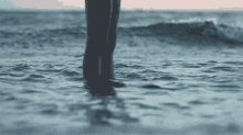 Legs Sea GIF - Legs Sea Water GIFs
