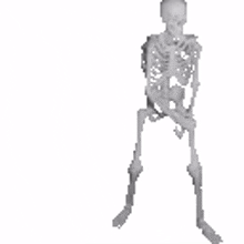 skeleton dies