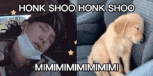 Honk Shoo Honk Shoo Sleeping GIF - Honk Shoo Honk Shoo Sleeping Puppy GIFs