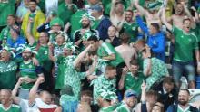 Cheering Northern Ireland GIF - Cheering Northern Ireland Woohoo GIFs