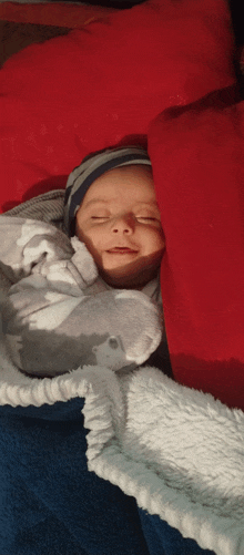 a baby wrapped in a blanket with a red pillow behind him