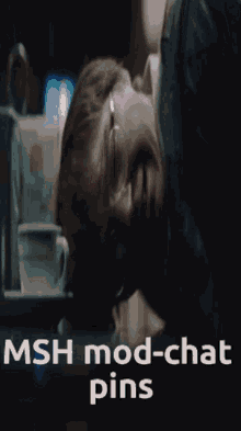 Msh My Special Hell GIF - Msh My Special Hell Mod Chat GIFs