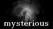 Mysterious GIF - Mysterious GIFs