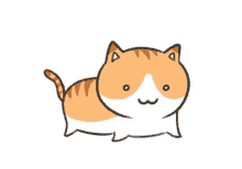 cat cute shocked kawaii
