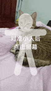 Cats Meme GIF - Cats Meme Cat GIFs