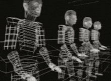 a group of skeletons are standing in a row in a dark room