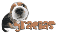 Doggy_lindo_gracias GIF - Doggy_lindo_gracias GIFs