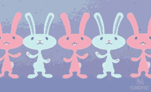 Dancing Dancing Bunny GIF - Dancing Dancing Bunny Bunny GIFs