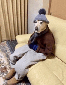 Cold Dog GIF - Cold Dog Chill GIFs