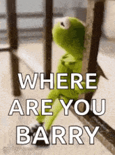 kermit the frog is leaning against a wall with the words `` where are you barry '' written on it .