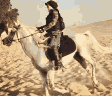 ekram horse ride desert white horse