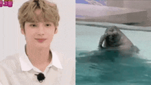 a man is standing next to a seal in a pool .