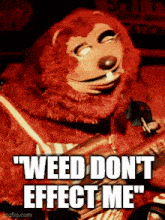 a red stuffed animal with the words " weed do n't effect me "