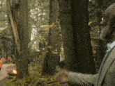 Percy Jackson Camp Halfblood Bb GIF - Percy Jackson Camp Halfblood Bb Big Brother Camp Halfblood GIFs