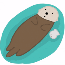 animal sea otter cute lazy lie down