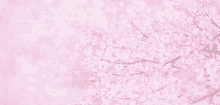 Anime Pink GIF - Anime Pink Sakura GIFs