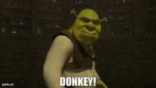 Donkey Donkey Shrek GIF - Donkey Donkey Shrek Shrek GIFs