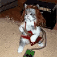 Cats Play GIF - Cats Play Guitar GIFs