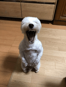 Cachorro Estourado Dog GIF - Cachorro Estourado Cachorro Dog GIFs
