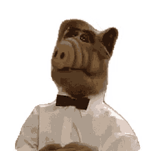 is alf