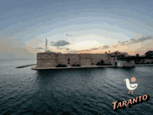 Taranto Giungato GIF - Taranto Giungato Puglia GIFs