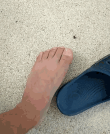 Toes GIF - Toes GIFs