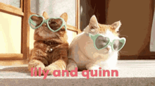 Lily And Quinn Lily GIF - Lily And Quinn Lily Quinn GIFs