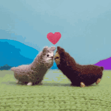 Llama Kiss GIF