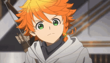 The Promised Neverland Tpn GIF