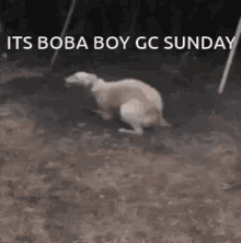 Boba Boy Gc Sunday GIF - Boba Boy Gc Sunday GIFs