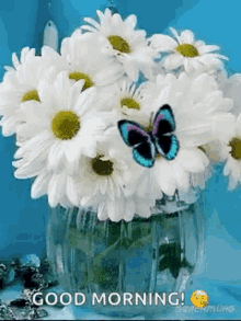 white flowers butterfly good morning