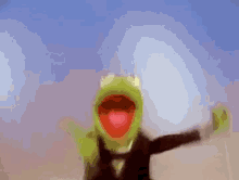 Kermit The Frog Rana GIF - Kermit The Frog Rana Rene GIFs