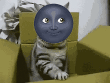 Moon Cat Box GIF - Moon Cat Box GIFs