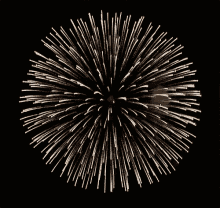Firework 4th GIF