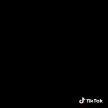 a picture of the earth with tiktok written on the bottom right