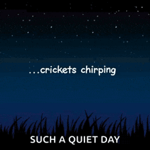 night crickets chirping silent